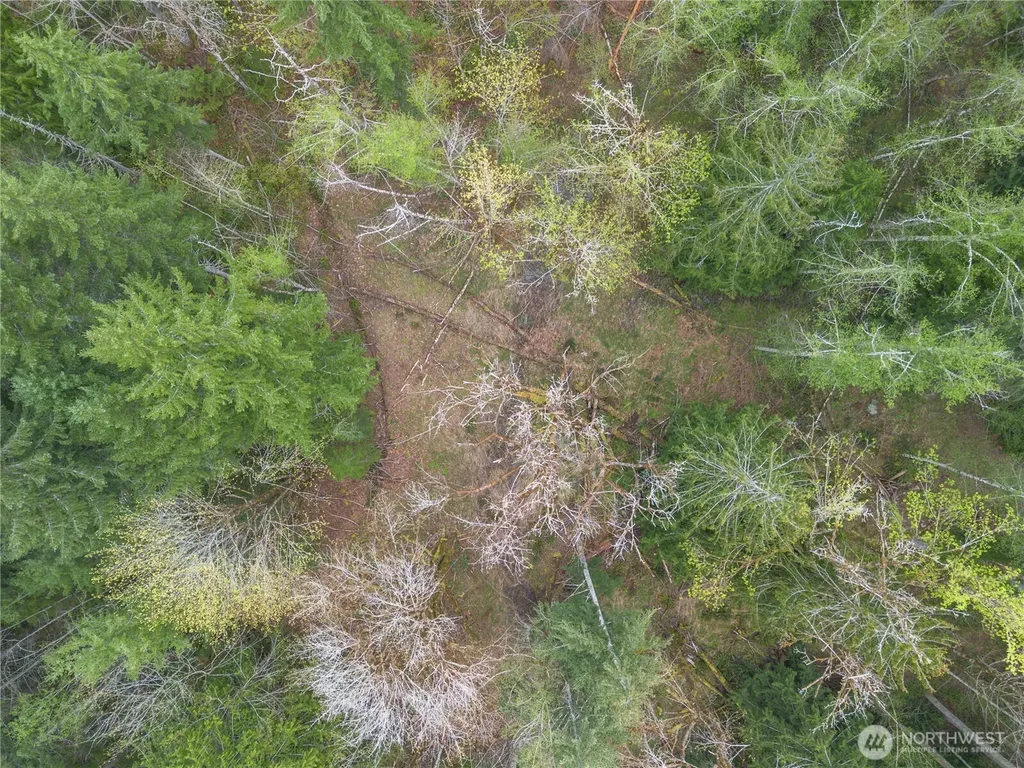 0 N Lake Cushman Road Hoodsport WA 98548