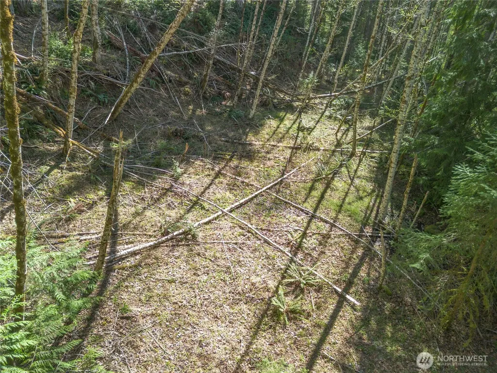 0 N Lake Cushman Road Hoodsport WA 98548