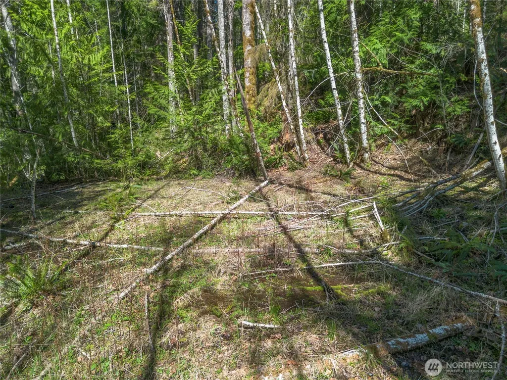 0 N Lake Cushman Road Hoodsport WA 98548