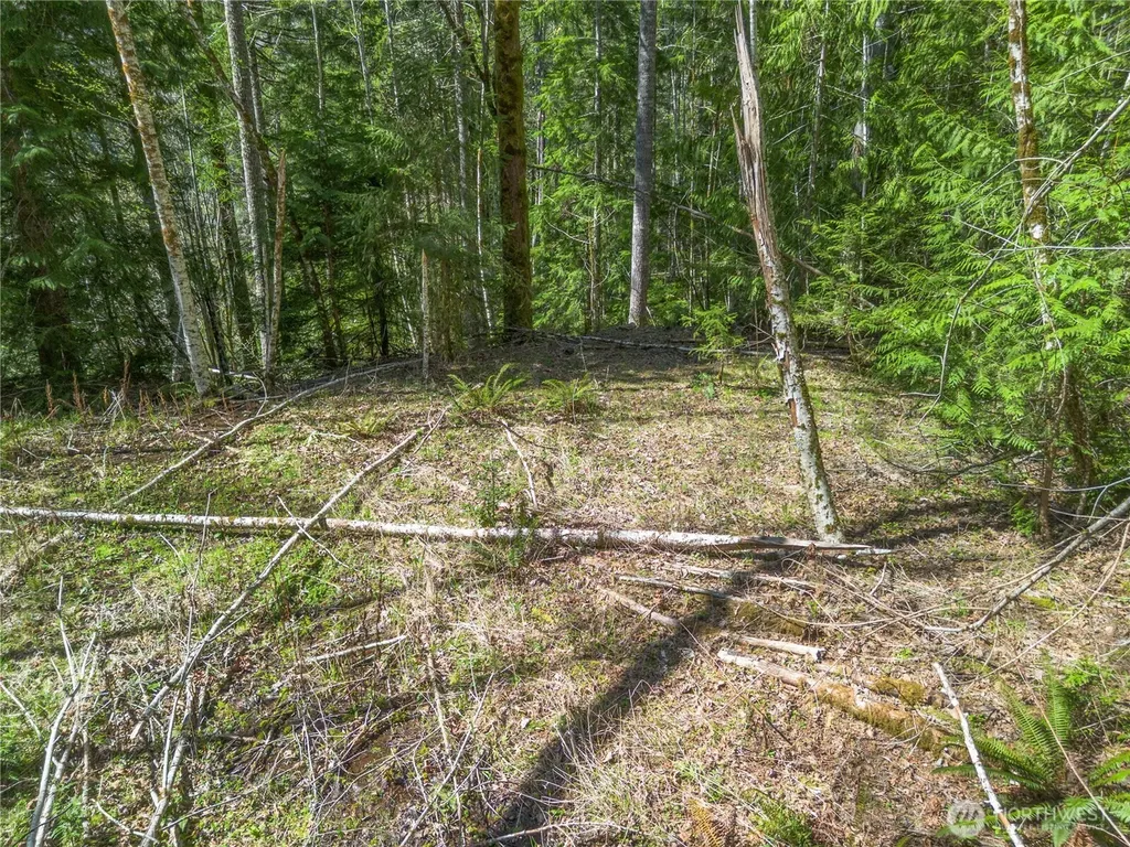 0 N Lake Cushman Road Hoodsport WA 98548