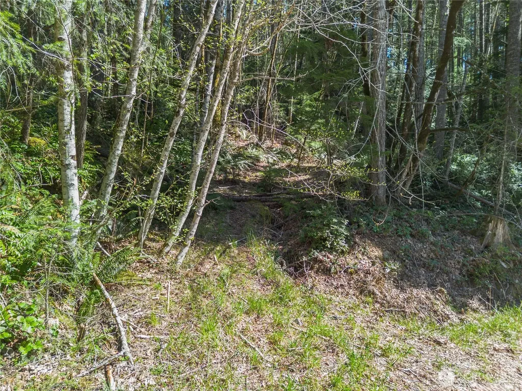 0 N Lake Cushman Road Hoodsport WA 98548