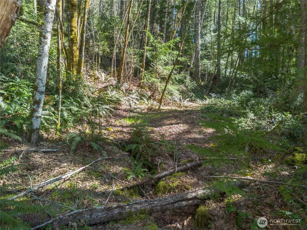 0 N Lake Cushman Road Hoodsport WA 98548
