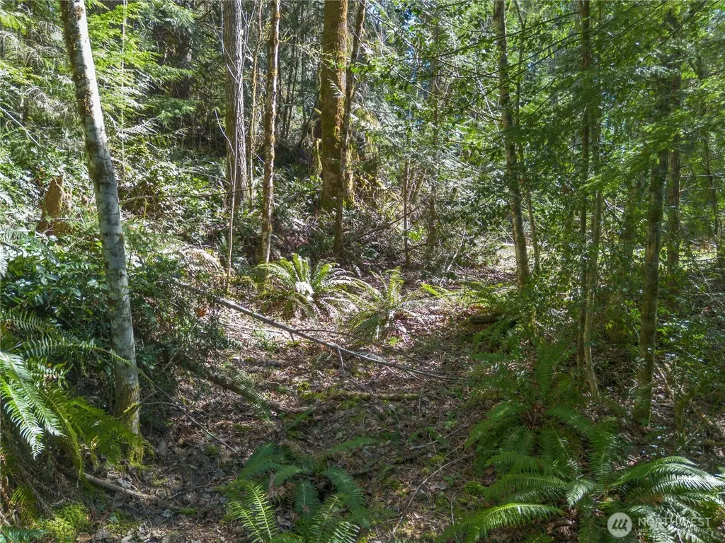 0 N Lake Cushman Road Hoodsport WA 98548