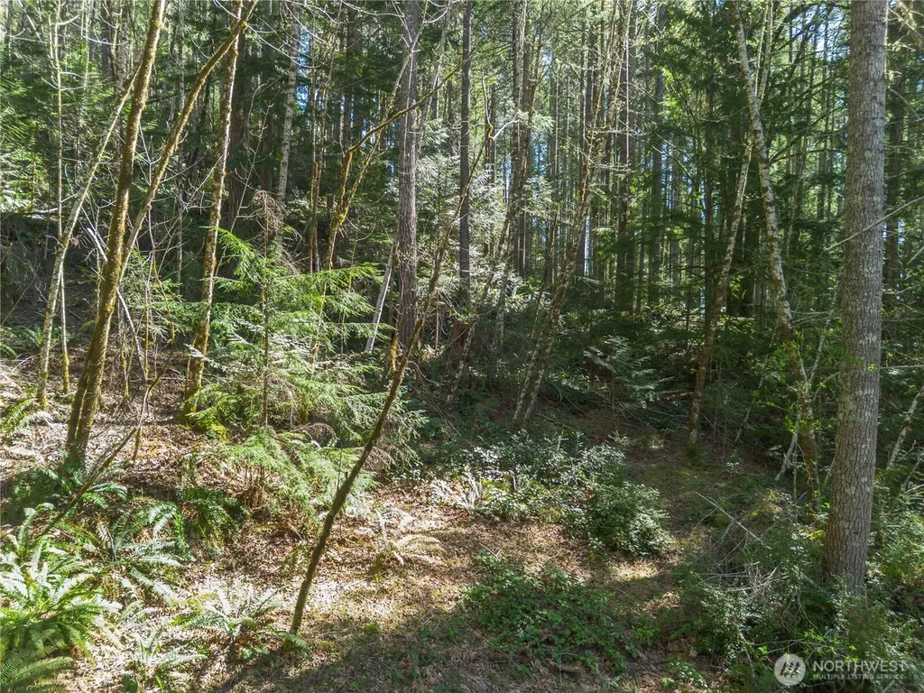 0 N Lake Cushman Road Hoodsport WA 98548