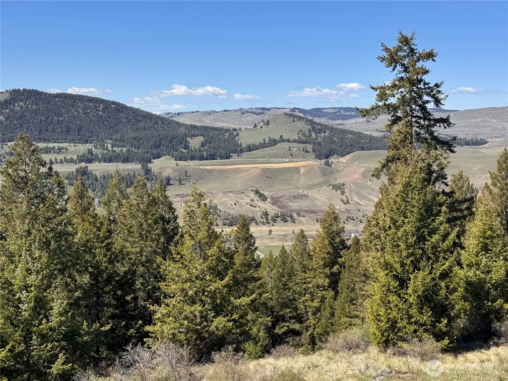 27 Mule Deer Ridge Road Oroville WA 98844