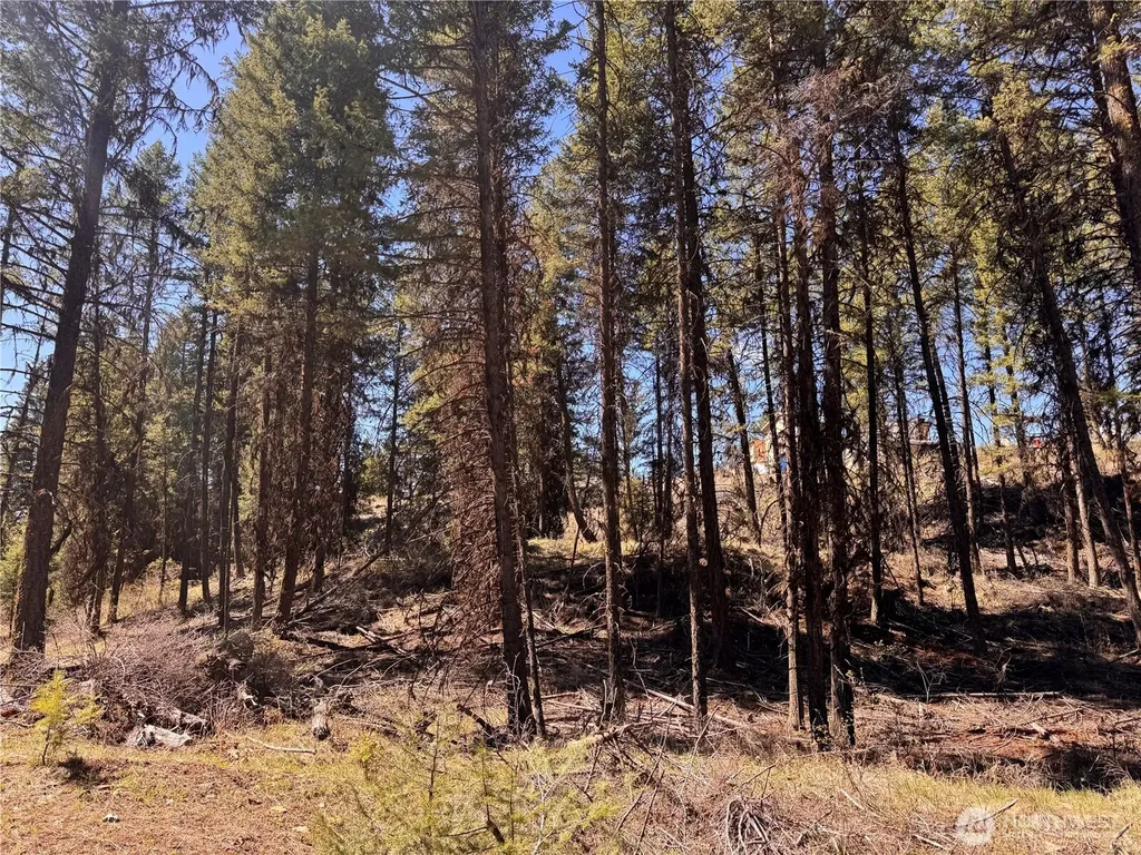 27 Mule Deer Ridge Road Oroville WA 98844