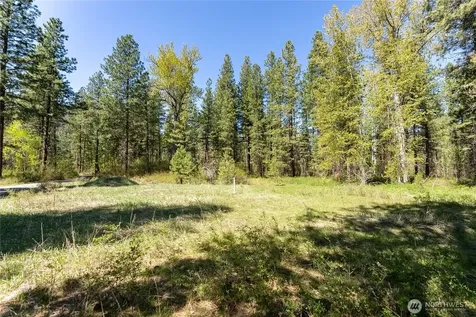 19 Green Road Winthrop WA 98862