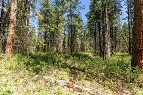 19 Green Road Winthrop WA 98862