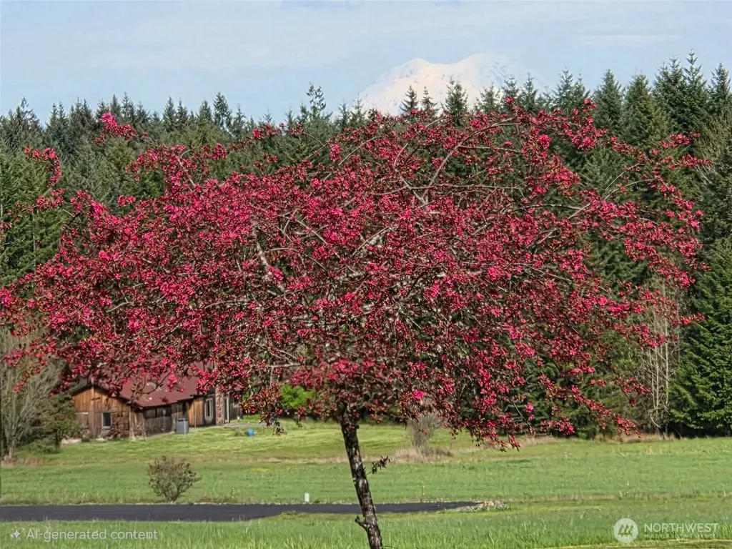 124 Gunnell Road Winlock WA 98596