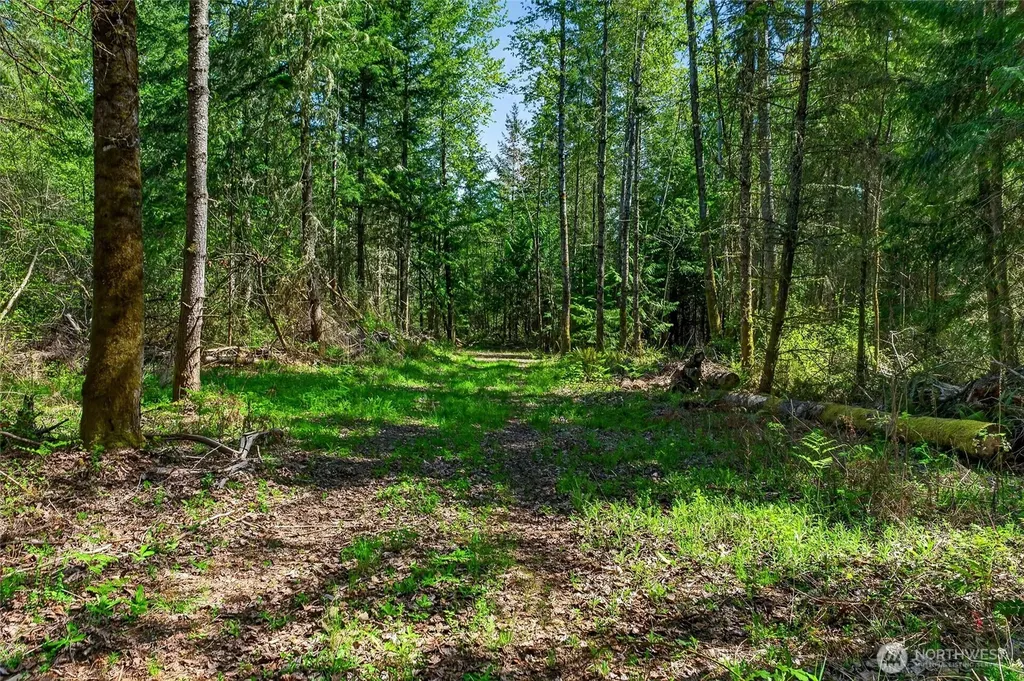28461 Mountain Hwy E Graham WA 98338