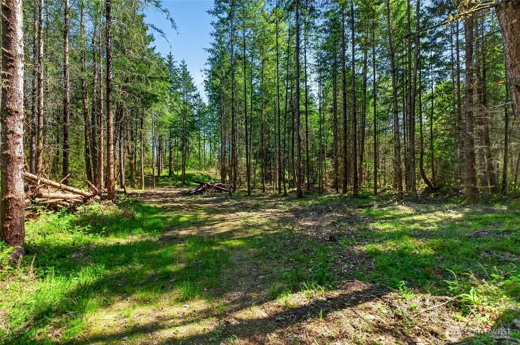 28461 Mountain Hwy E Graham WA 98338