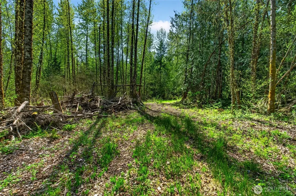 28461 Mountain Hwy E Graham WA 98338