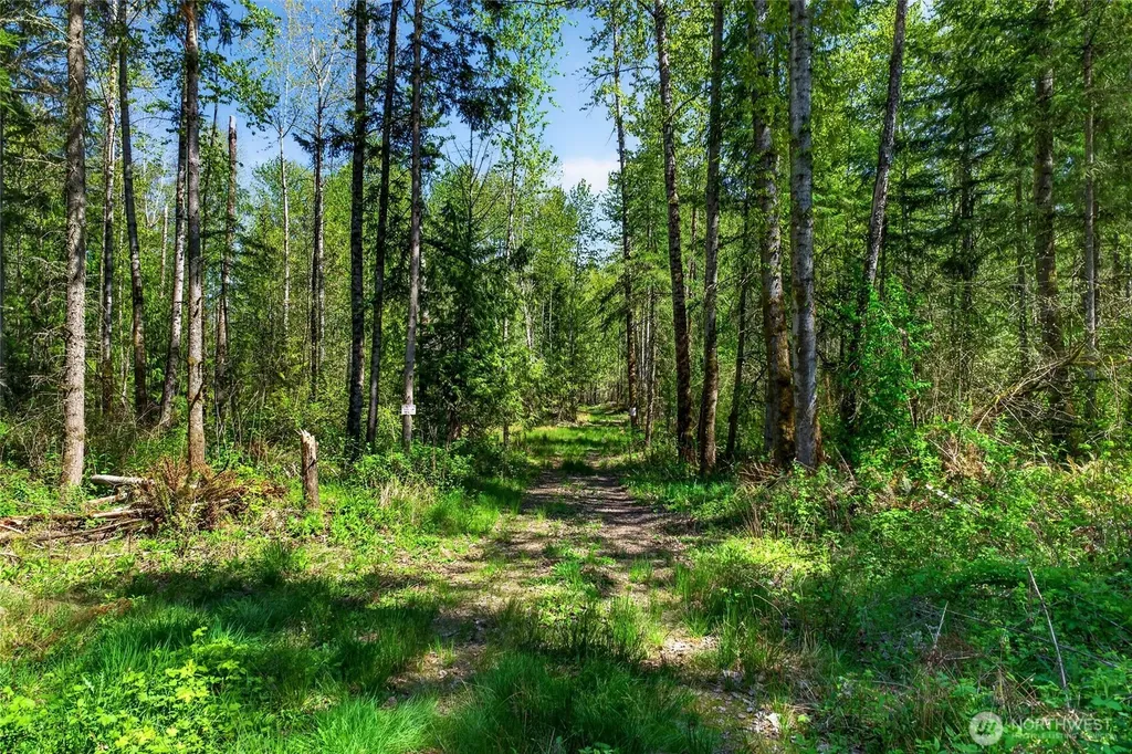 28461 Mountain Hwy E Graham WA 98338