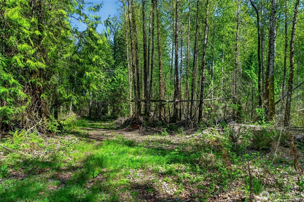 28461 Mountain Hwy E Graham WA 98338