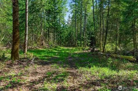28461 Mountain Hwy E Graham WA 98338
