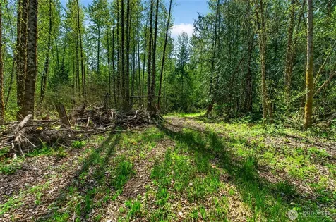 28461 Mountain Hwy E Graham WA 98338