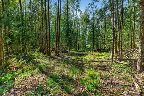 28461 Mountain Hwy E Graham WA 98338