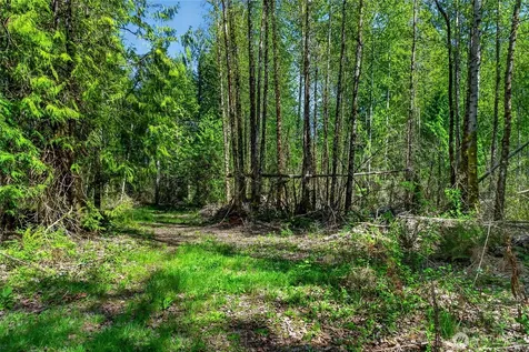 28461 Mountain Hwy E Graham WA 98338
