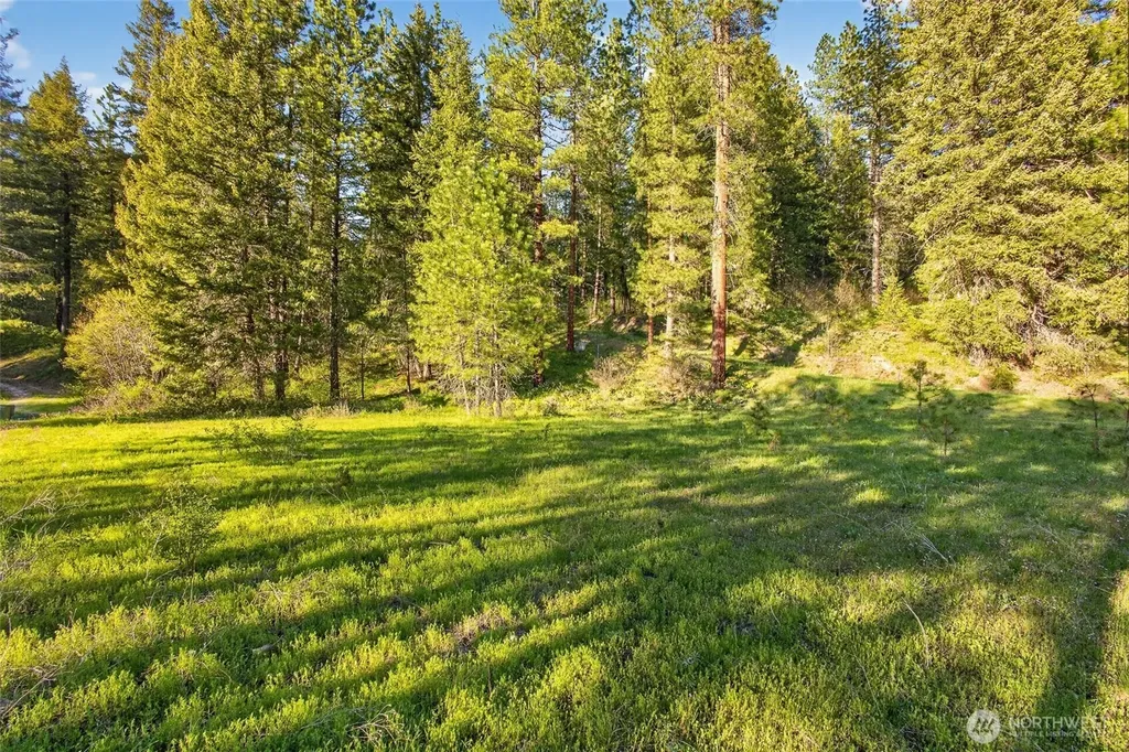 15906 River Road Leavenworth WA 98826