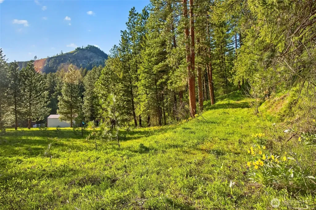 15906 River Road Leavenworth WA 98826