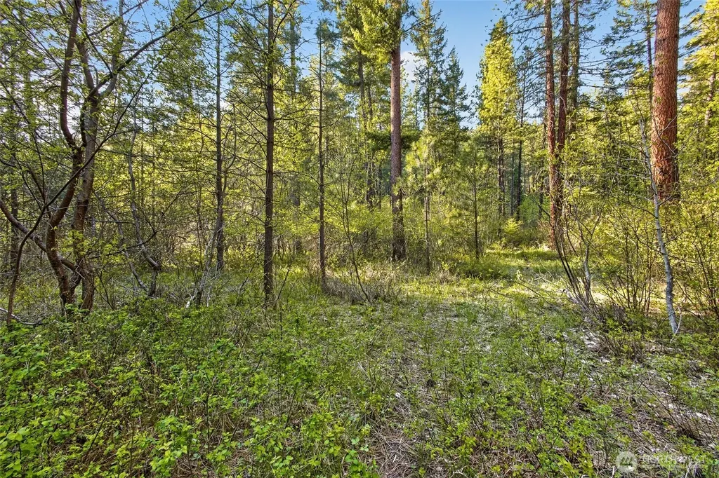 15906 River Road Leavenworth WA 98826