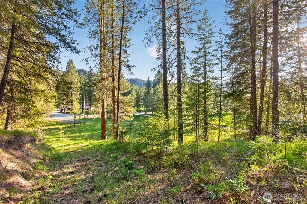 15906 River Road Leavenworth WA 98826