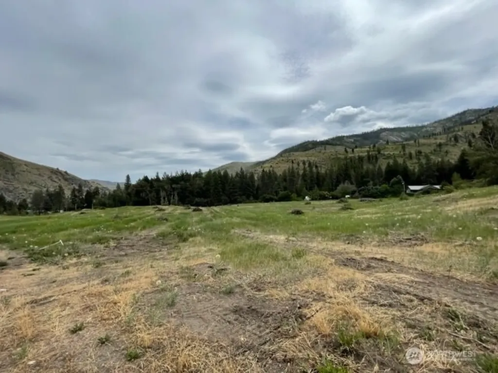 4 Lot 4 - Black Canyon Road Pateros WA 98846