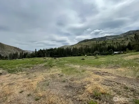 4 Lot 4 - Black Canyon Road Pateros WA 98846