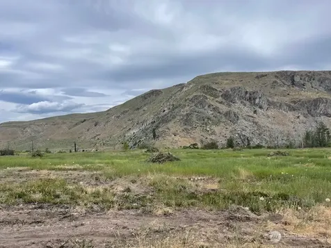 4 Lot 4 - Black Canyon Road Pateros WA 98846