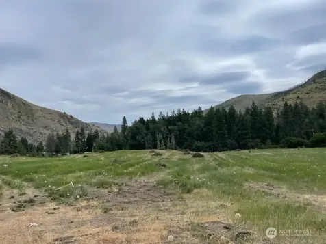 4 Lot 4 - Black Canyon Road Pateros WA 98846