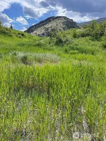 2 Lot 2 Black Canyon Road Pateros WA 98846