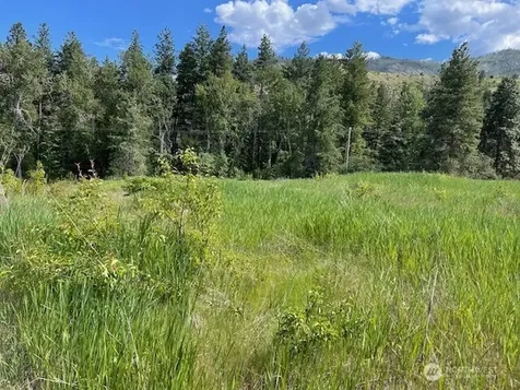 2 Lot 2 Black Canyon Road Pateros WA 98846