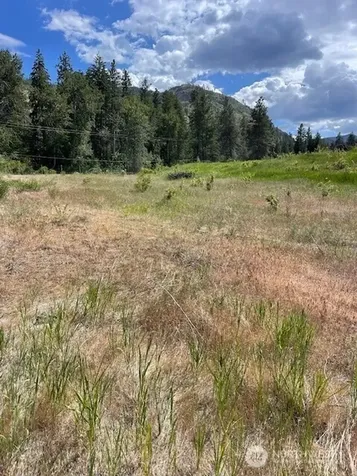 2 Lot 2 Black Canyon Road Pateros WA 98846
