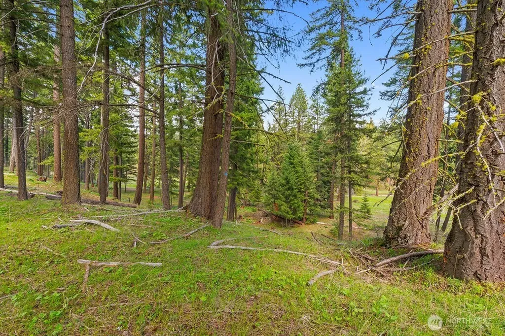 14 Rainbow Court Cle Elum WA 98922