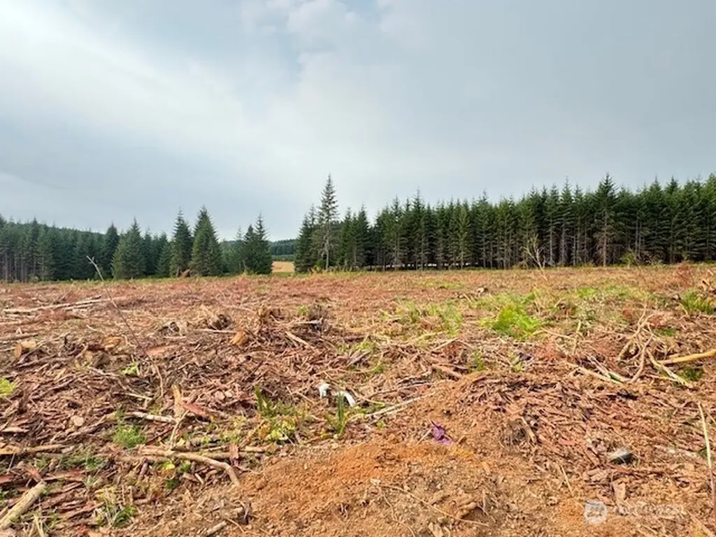 119 Woodberry Lane Winlock WA 98596