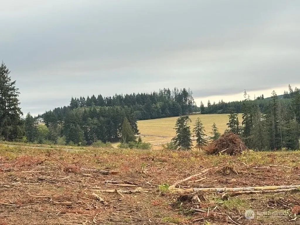 119 Woodberry Lane Winlock WA 98596