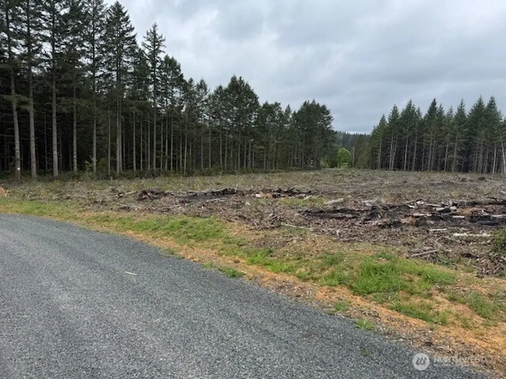 119 Woodberry Lane Winlock WA 98596