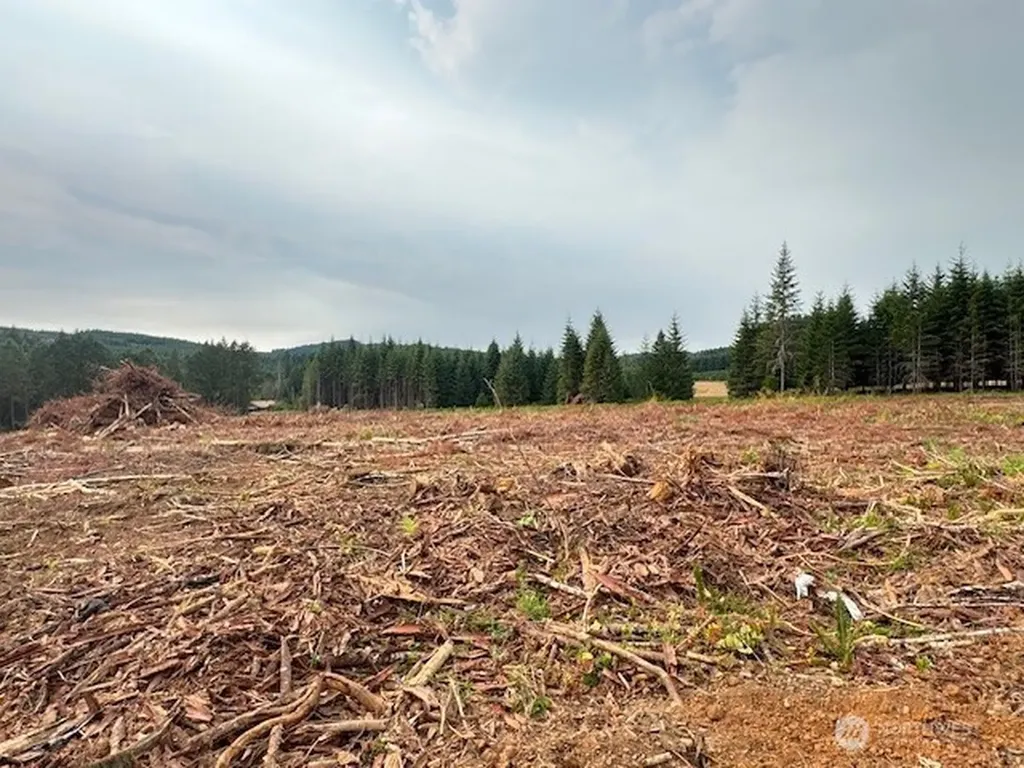119 Woodberry Lane Winlock WA 98596