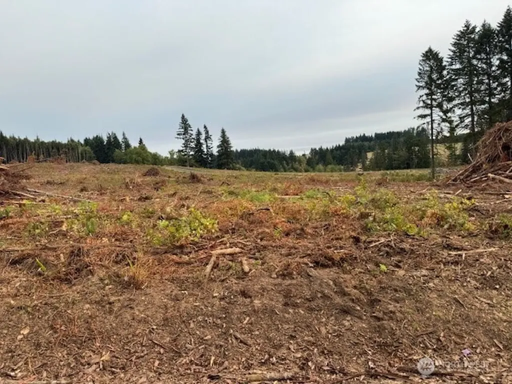 119 Woodberry Lane Winlock WA 98596