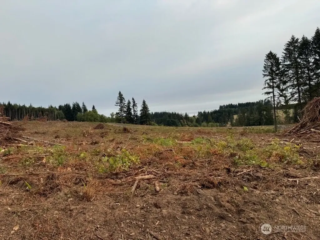 119 Woodberry Lane Winlock WA 98596