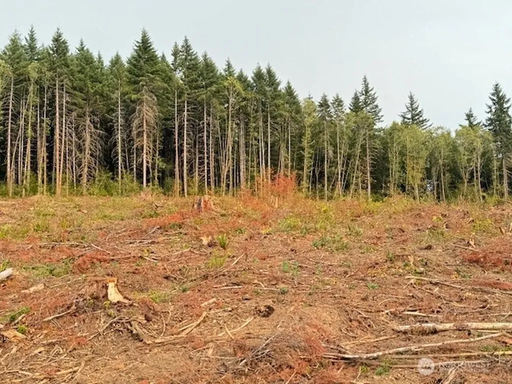119 Woodberry Lane Winlock WA 98596
