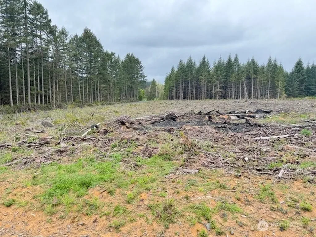 119 Woodberry Lane Winlock WA 98596