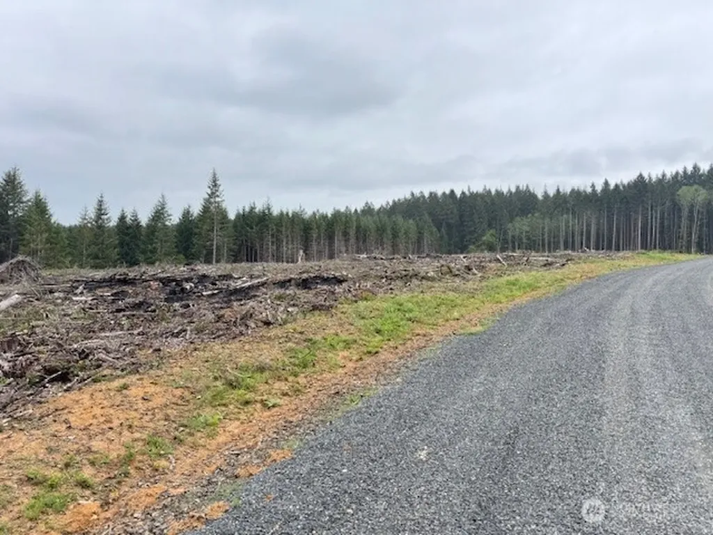 119 Woodberry Lane Winlock WA 98596