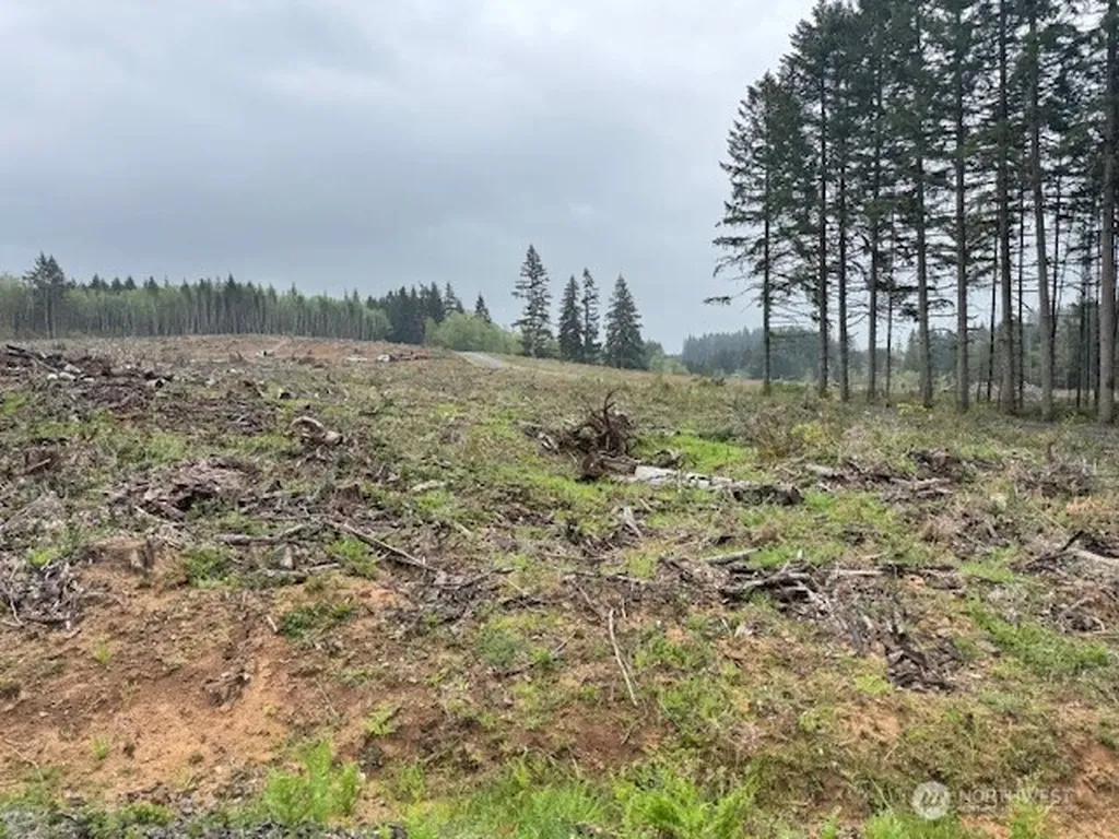 119 Woodberry Lane Winlock WA 98596