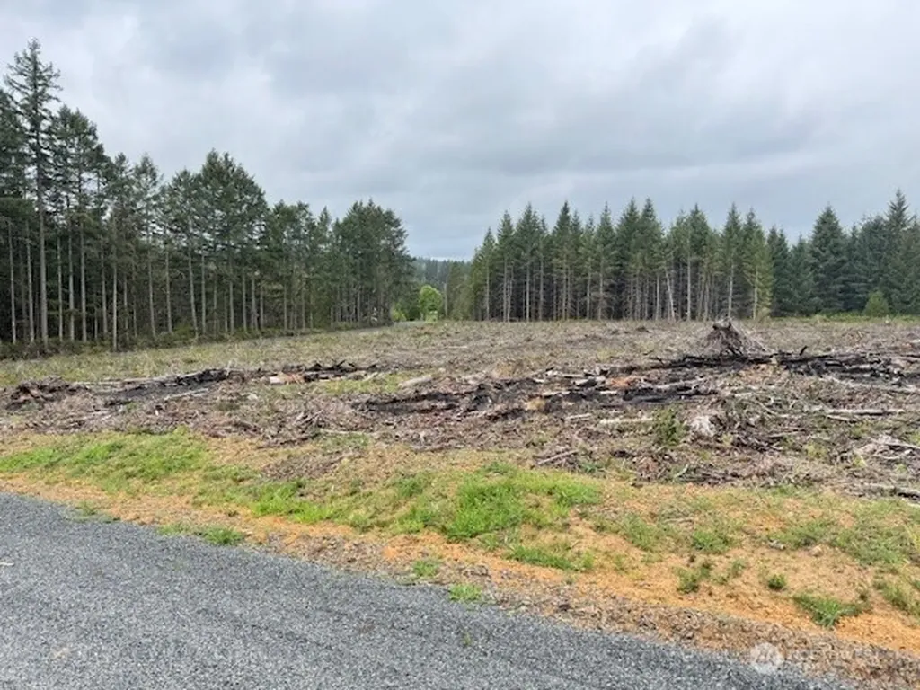 119 Woodberry Lane Winlock WA 98596