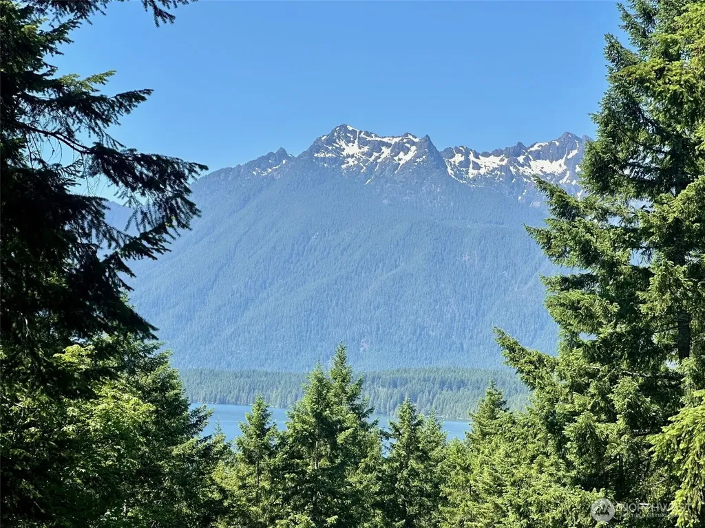 5154 N Lake Cushman Road Hoodsport WA 98548