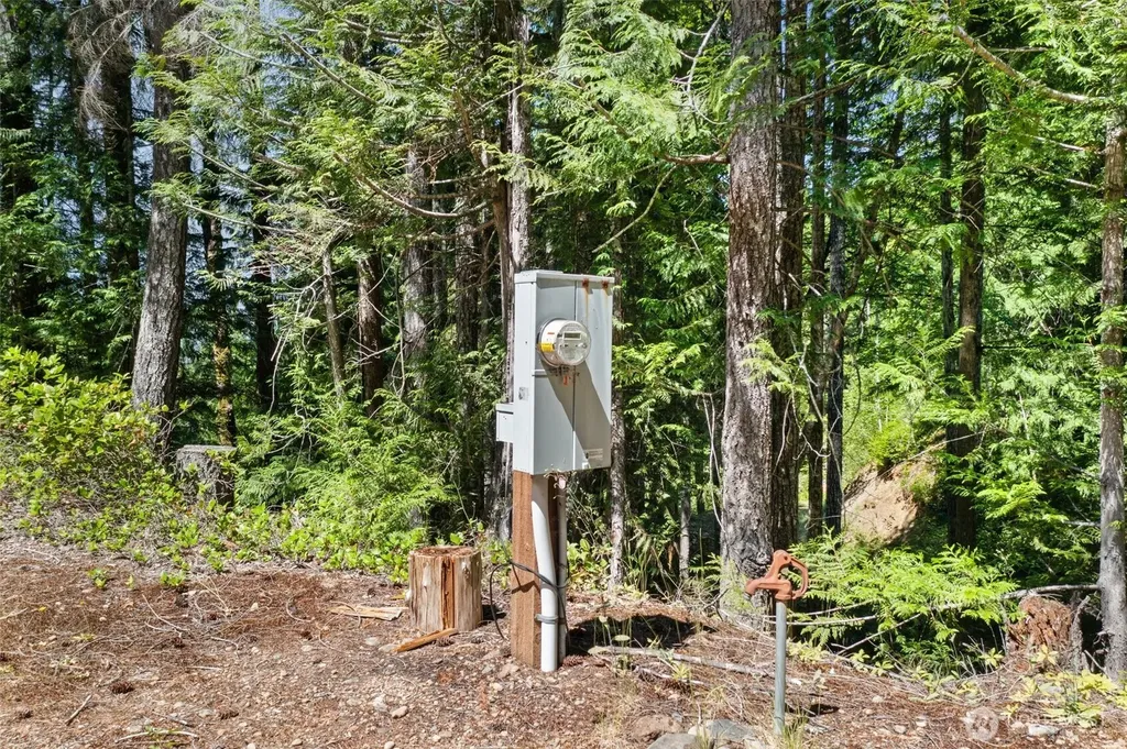 5154 N Lake Cushman Road Hoodsport WA 98548