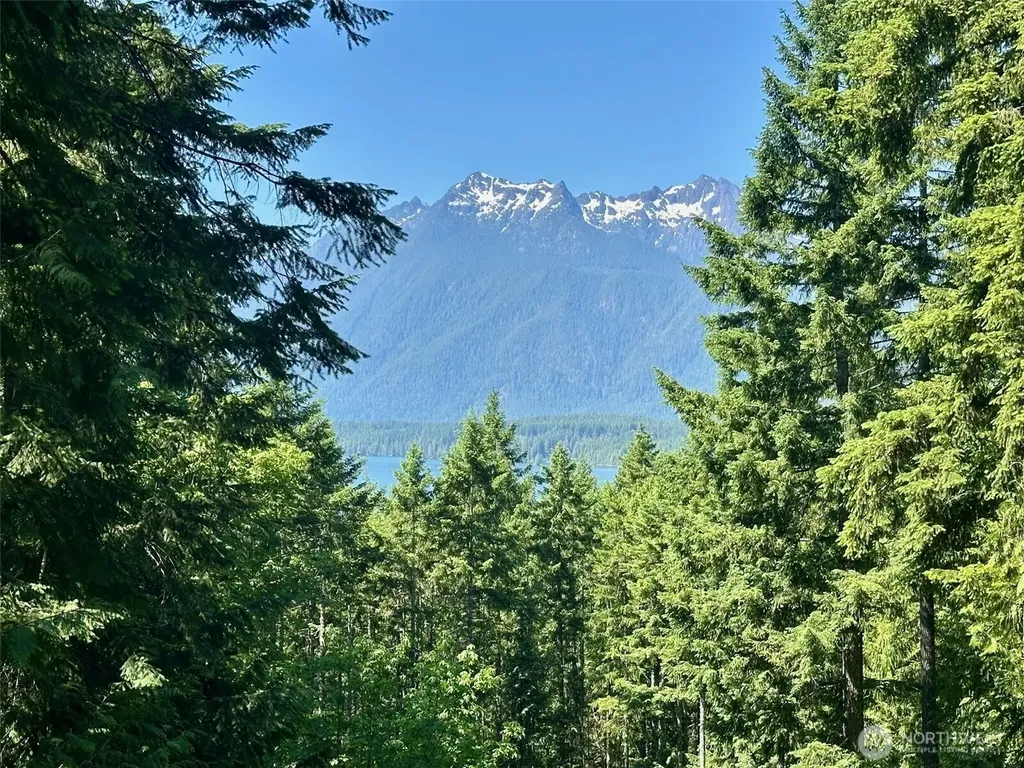 5154 N Lake Cushman Road Hoodsport WA 98548