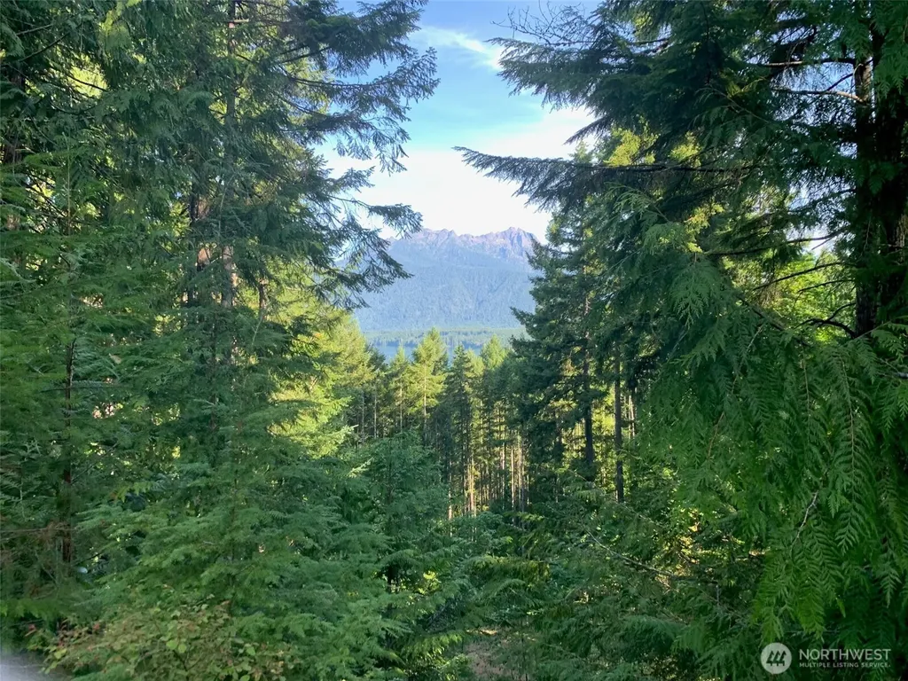 5154 N Lake Cushman Road Hoodsport WA 98548
