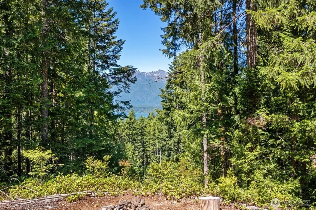 5154 N Lake Cushman Road Hoodsport WA 98548